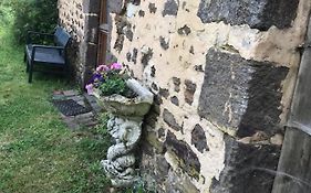 Reveil Aux Chants Des Oiseaux