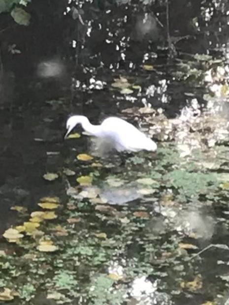 Reveil Aux Chants Des Oiseaux Asse-le-Riboul Extérieur photo