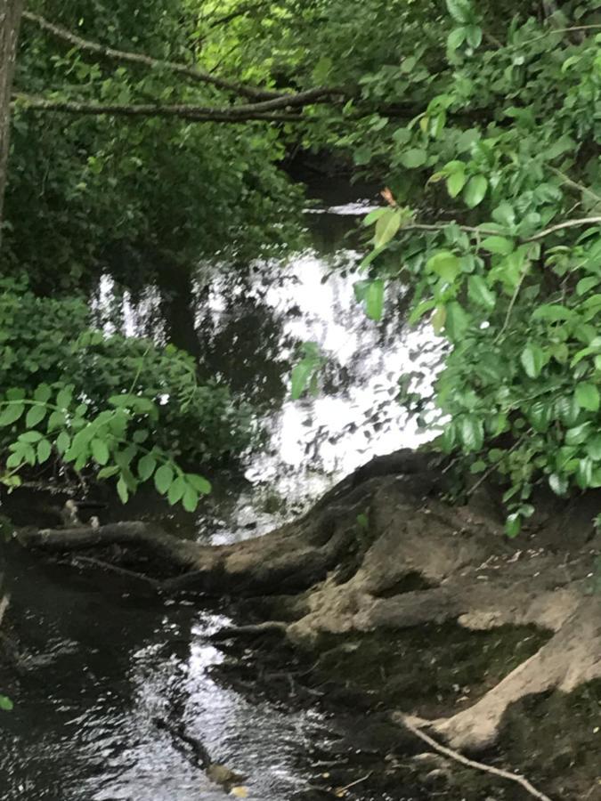 Reveil Aux Chants Des Oiseaux Asse-le-Riboul Extérieur photo