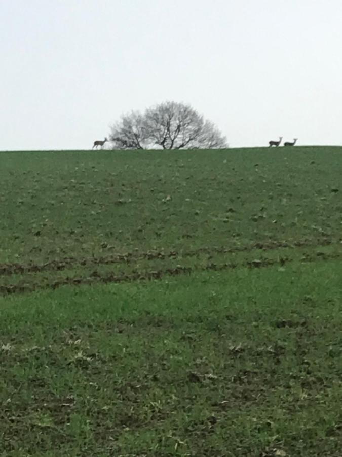 Reveil Aux Chants Des Oiseaux Asse-le-Riboul Extérieur photo